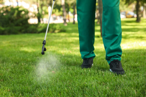 Pest Control for Restaurants in Fruita, CO