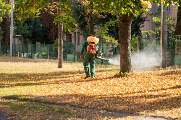 Fruita, CO Pest Control Company
