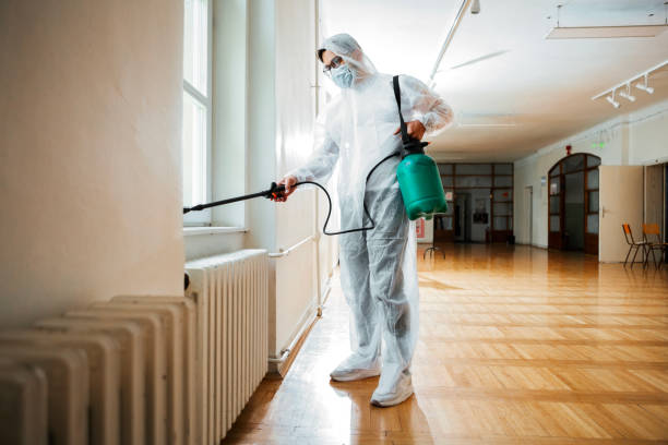 Wasp Removal Services in Fruita, CO